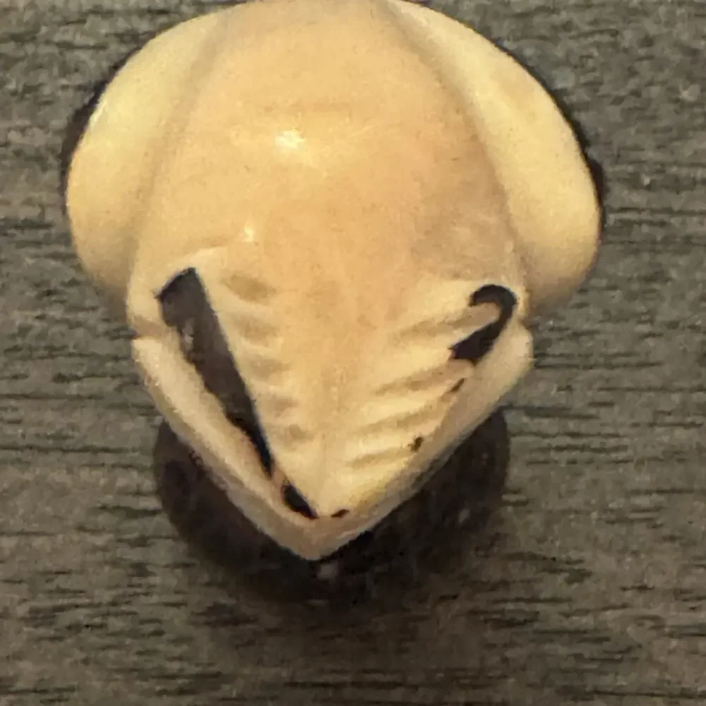 Owl Hand Carved Tagua Nut Vegetable Ivory Figurine Wise Owl Totem Birds Wisdom